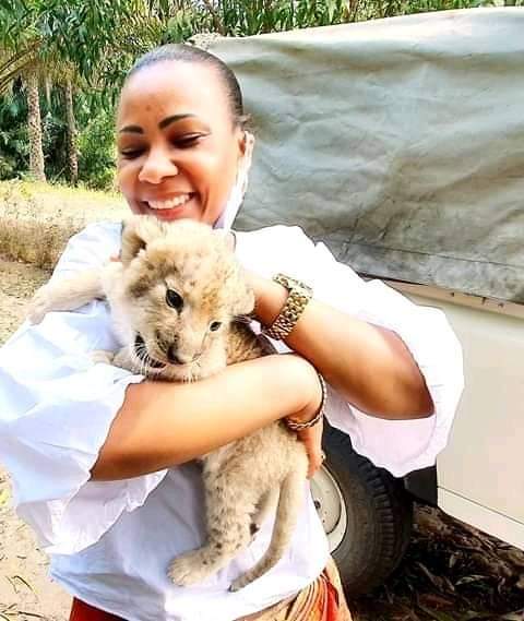 Conservation de la faune/ Parc Animalier de la Nsele : Olive Lembe Kabila présente le lionceau nouveau né baptisé  “AUGUSTIN”