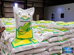 Haut-Katanga : grâce au génie de Kyabula, la population achète la farine à moins de 10$