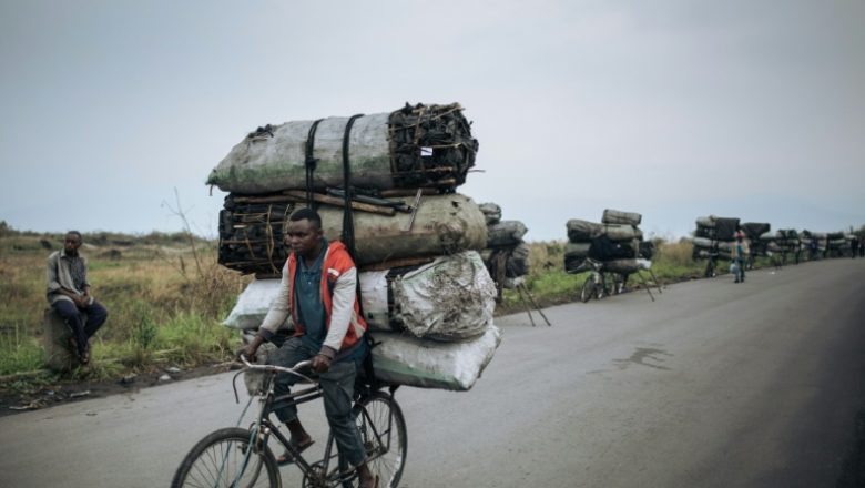 Équateur : l’utilisation de braise source de destruction des forêts à Mbandaka