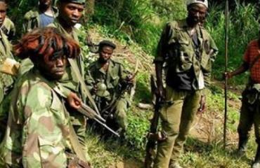 RDC : l’armée congolaise interdit l’utilisation abusive du mot “wazalendo”