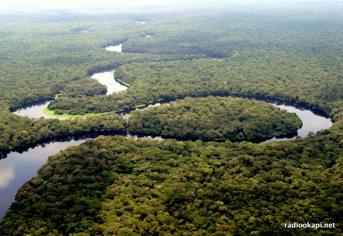Environnement : plaidoyer pour la taxe sur la superficie forestière et sur le crédit carbone au profit des populations locales