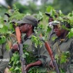 RDC : à Mambasa, la menace ADF met à l’épreuve la riposte régionale