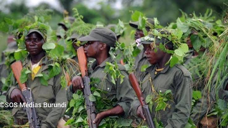 RDC : à Mambasa, la menace ADF met à l’épreuve la riposte régionale