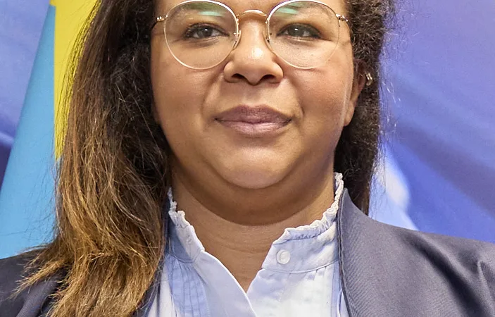 RDC : Conseil de sécurité, passeports et protection consulaire au cœur du bilan diplomatique