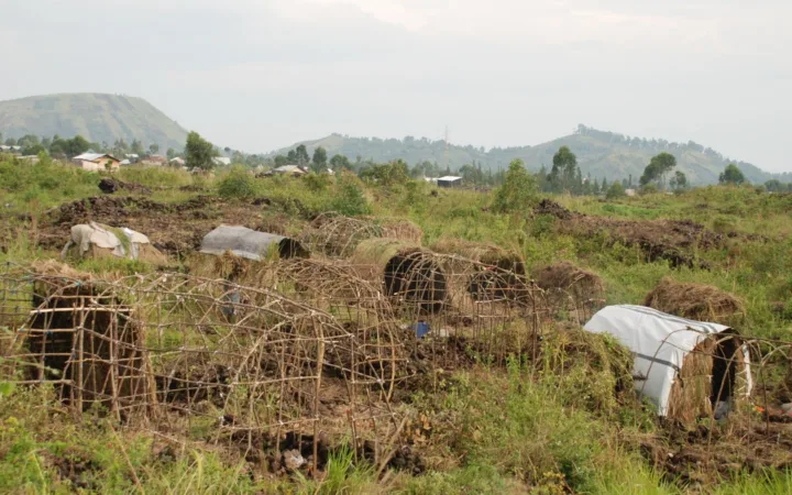 Masisi : les combats poussent de nouvelles familles vers Kyumba et Langira